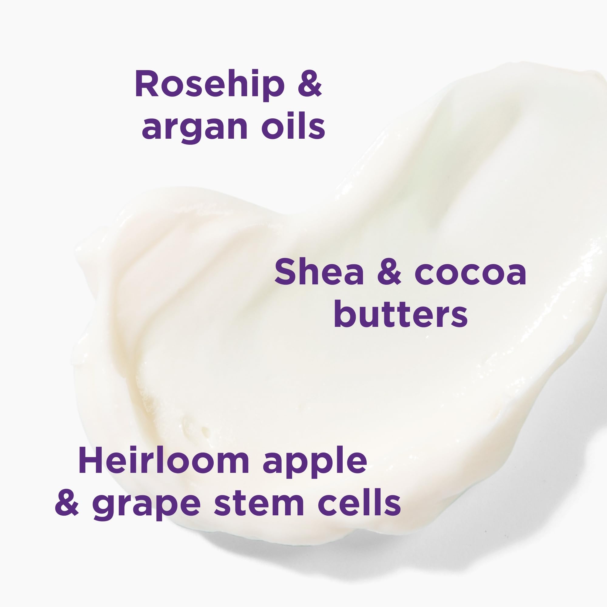 Andalou Naturals Lavender Thyme lotion with organic aloe vera for soothing moisture.