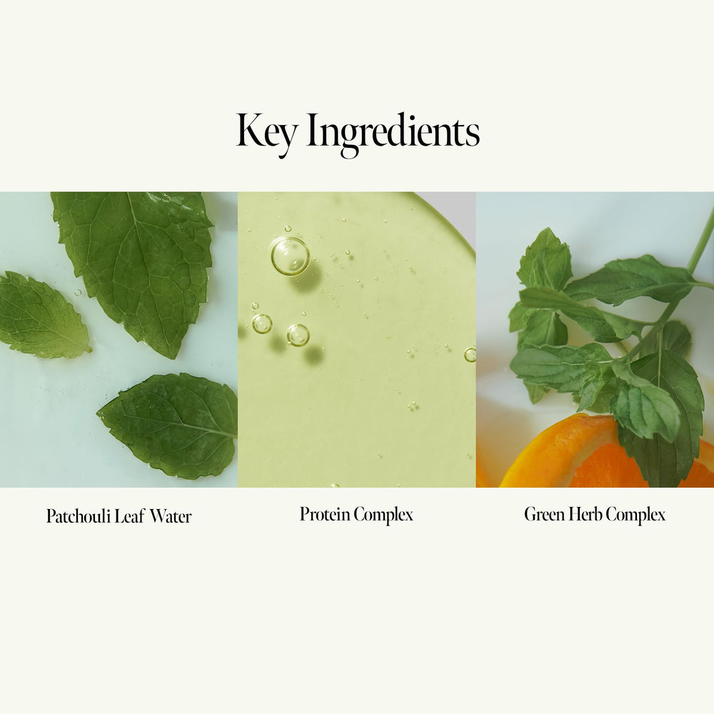 ANILLO Patchouli Garden Satin Finish—adds a silky touch to hair after use.