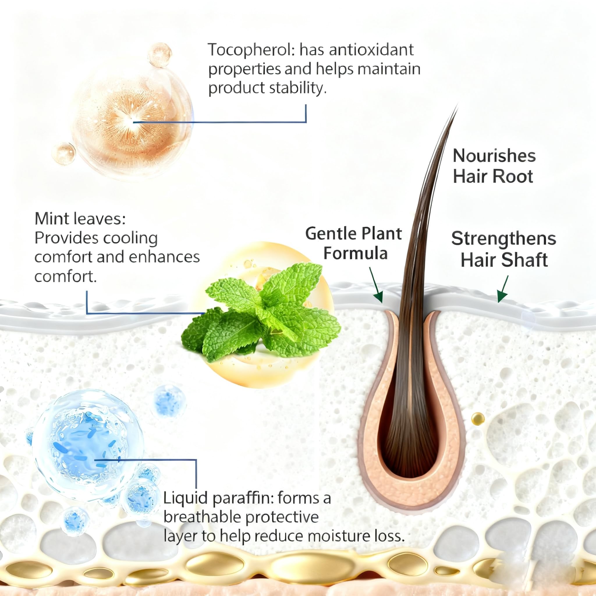 Aparthy suero rodillo: aceite de semillas de Camellia para nutrición capilar