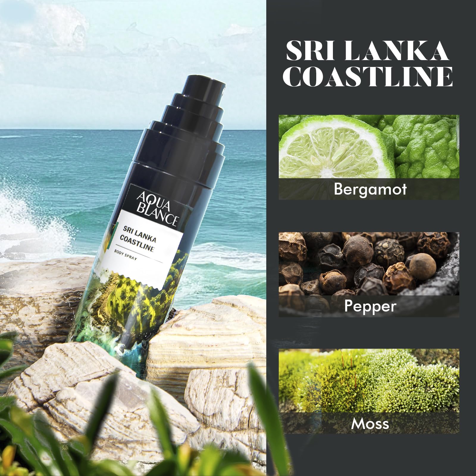 Aqua Blance Sri Lanka coast notes highlighting bergamot and lemon brightness