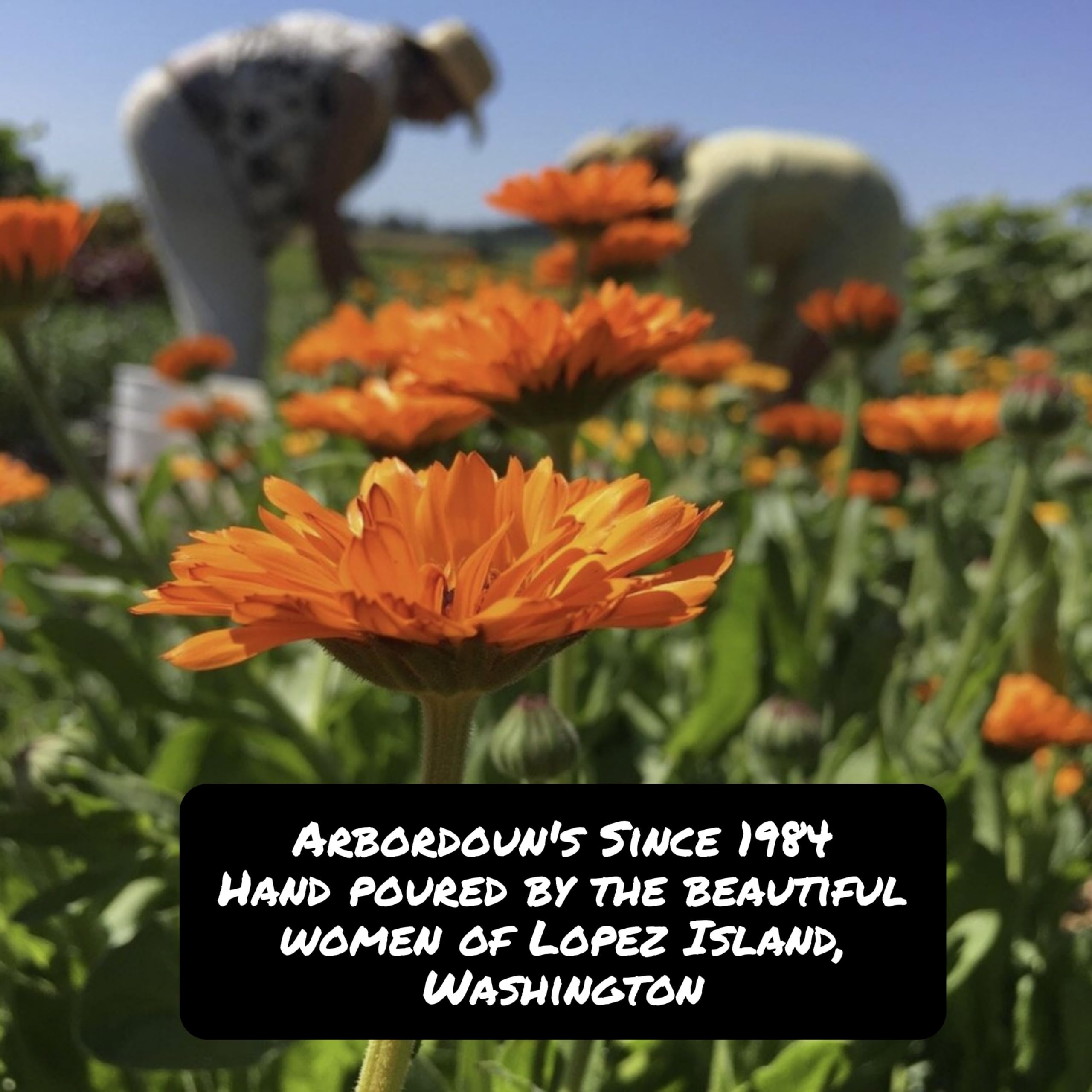 Arbordoun Calendula Cream application demonstrates calming relief for irritated skin.