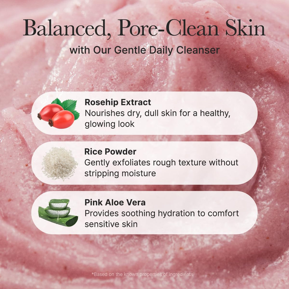 ARENCIA Fresh Rosehip Rice Mochi Cleanser natural extracts bottle emphasizes botanical complexity