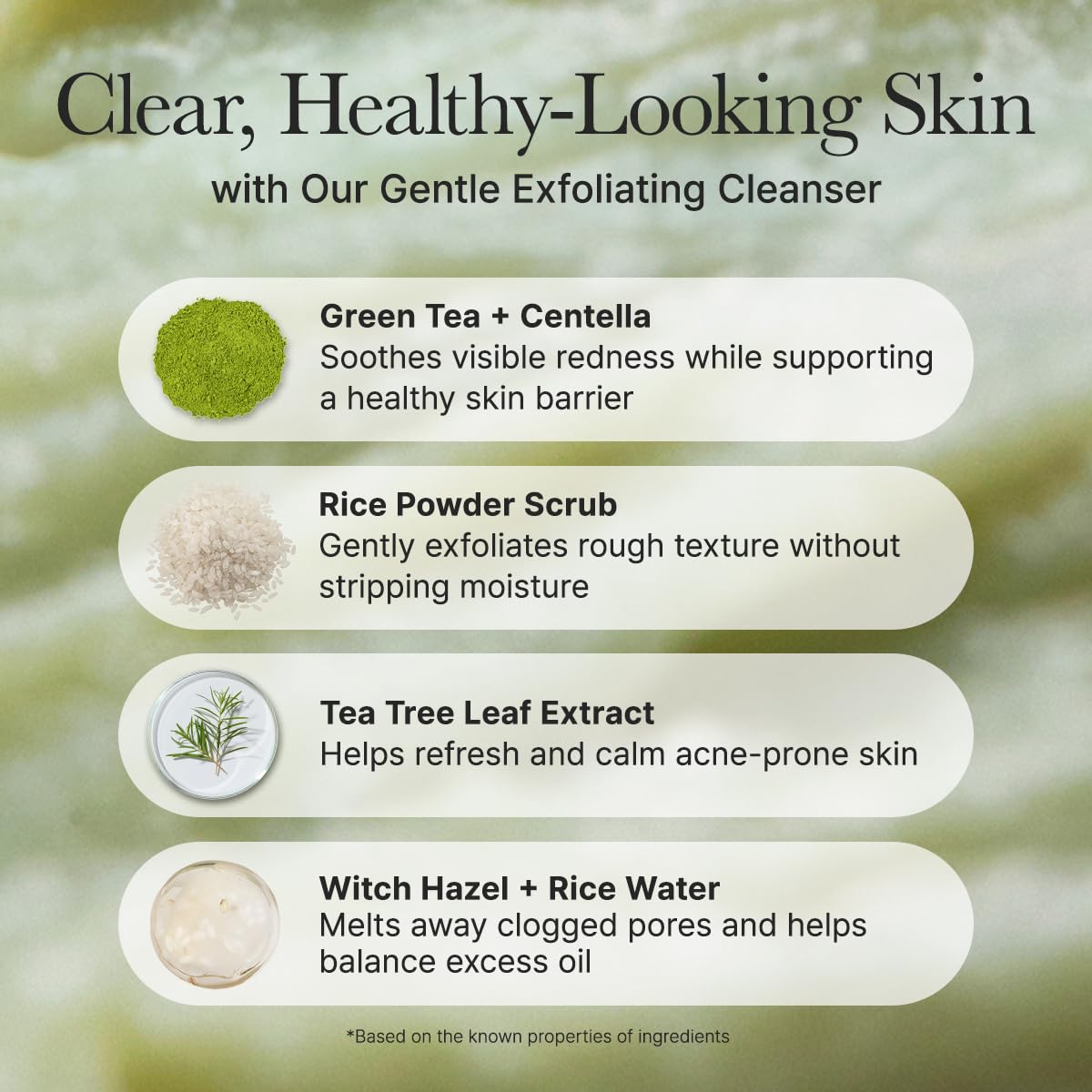Arencia Rice Mochi Cleanser foaming lather demonstrates clean rinse and fresh feel