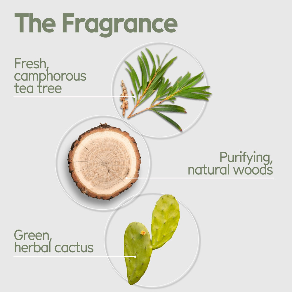 Arista solid shampoo bar foam demonstrates rich, residue-free cleansing.