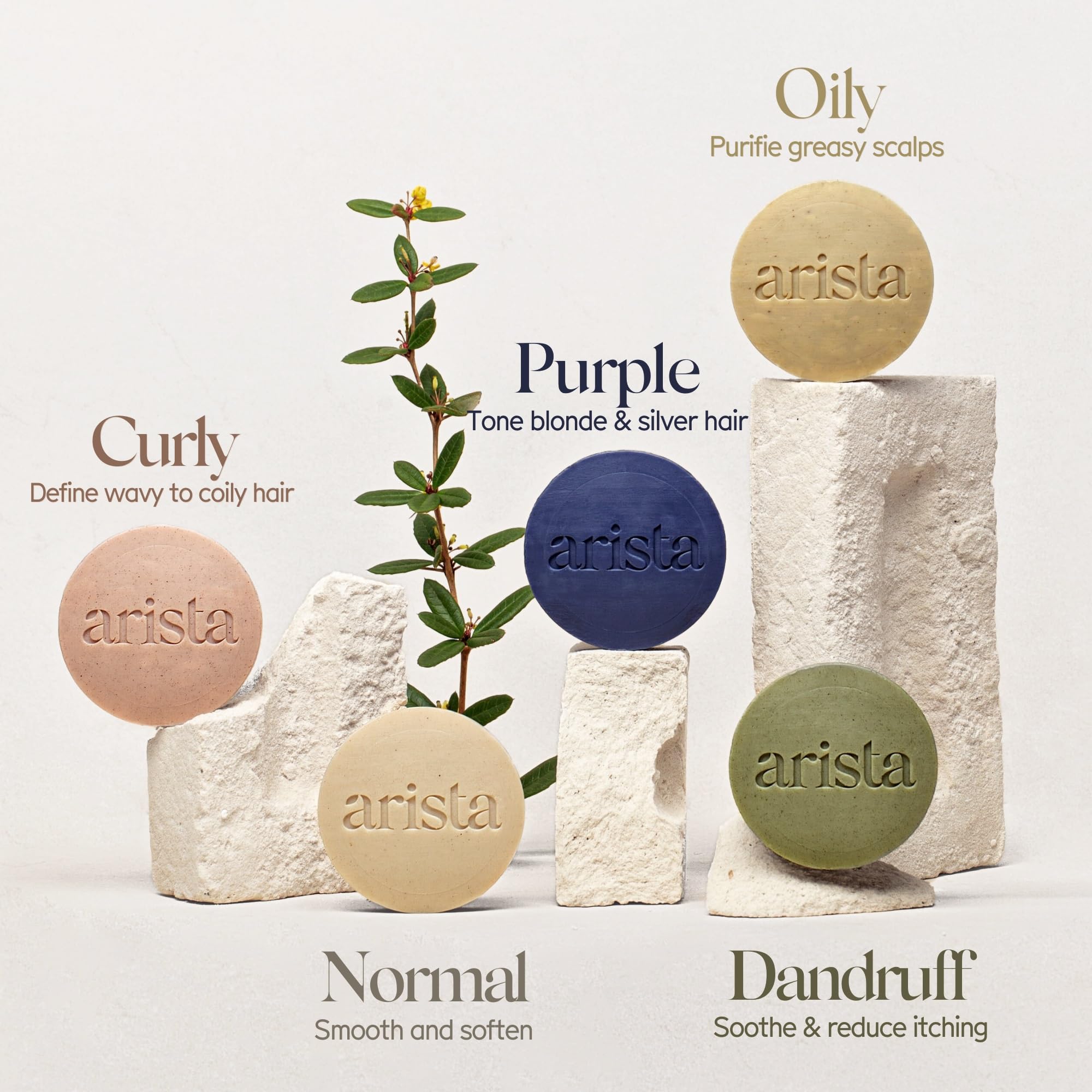 Arista zero-waste packaging highlight showcasing eco-friendly, plastic-free design.
