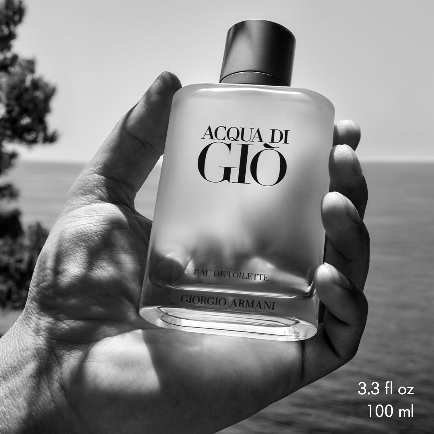Armani Beauty Acqua di Gio EDT packaging-varies suggesting gift-ready presentation.