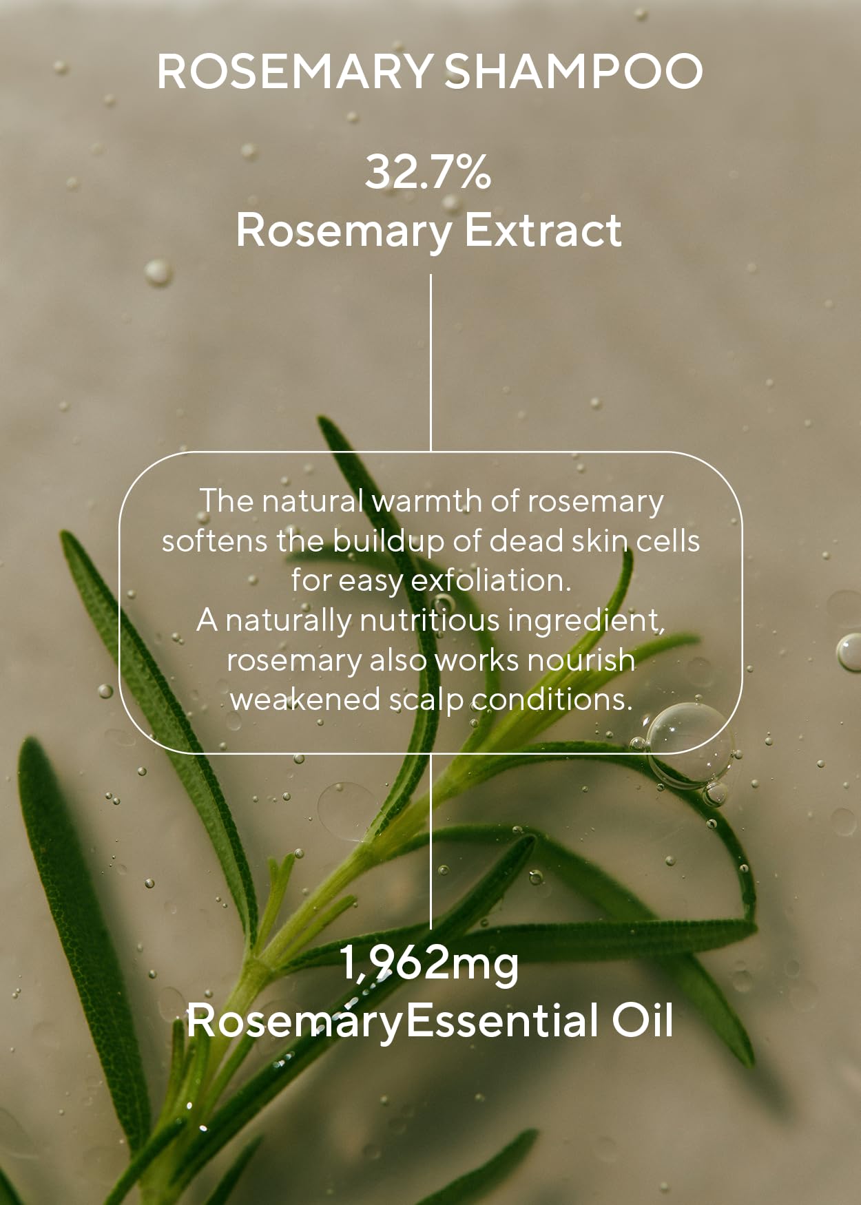 Closeup of Rosemary Conditioner cream texture and nourishment