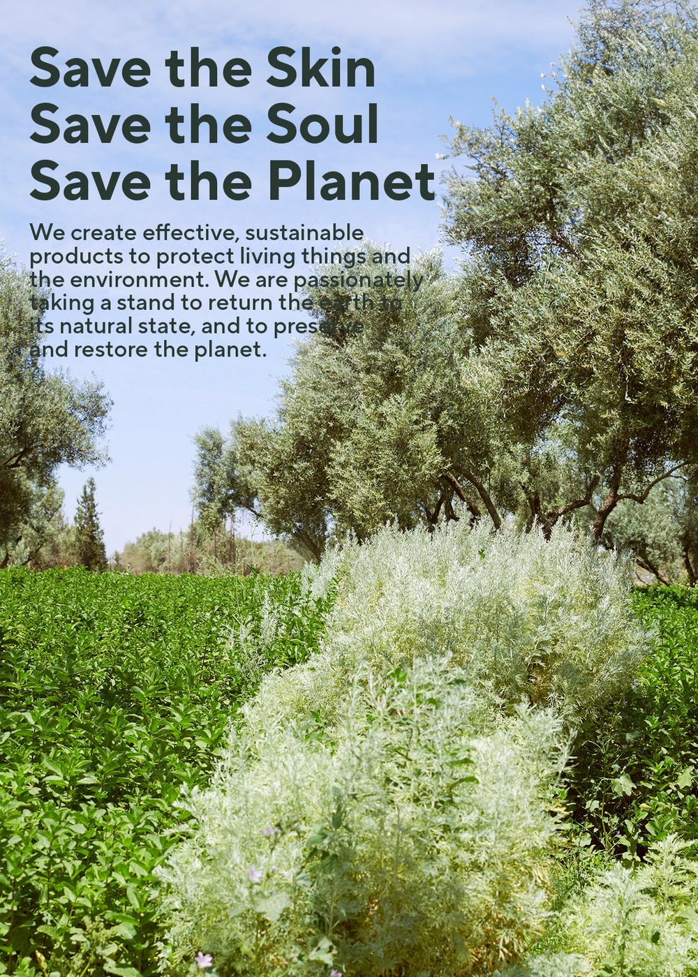 Organic vegan ingredients label – plant-based care by aromatherapists.