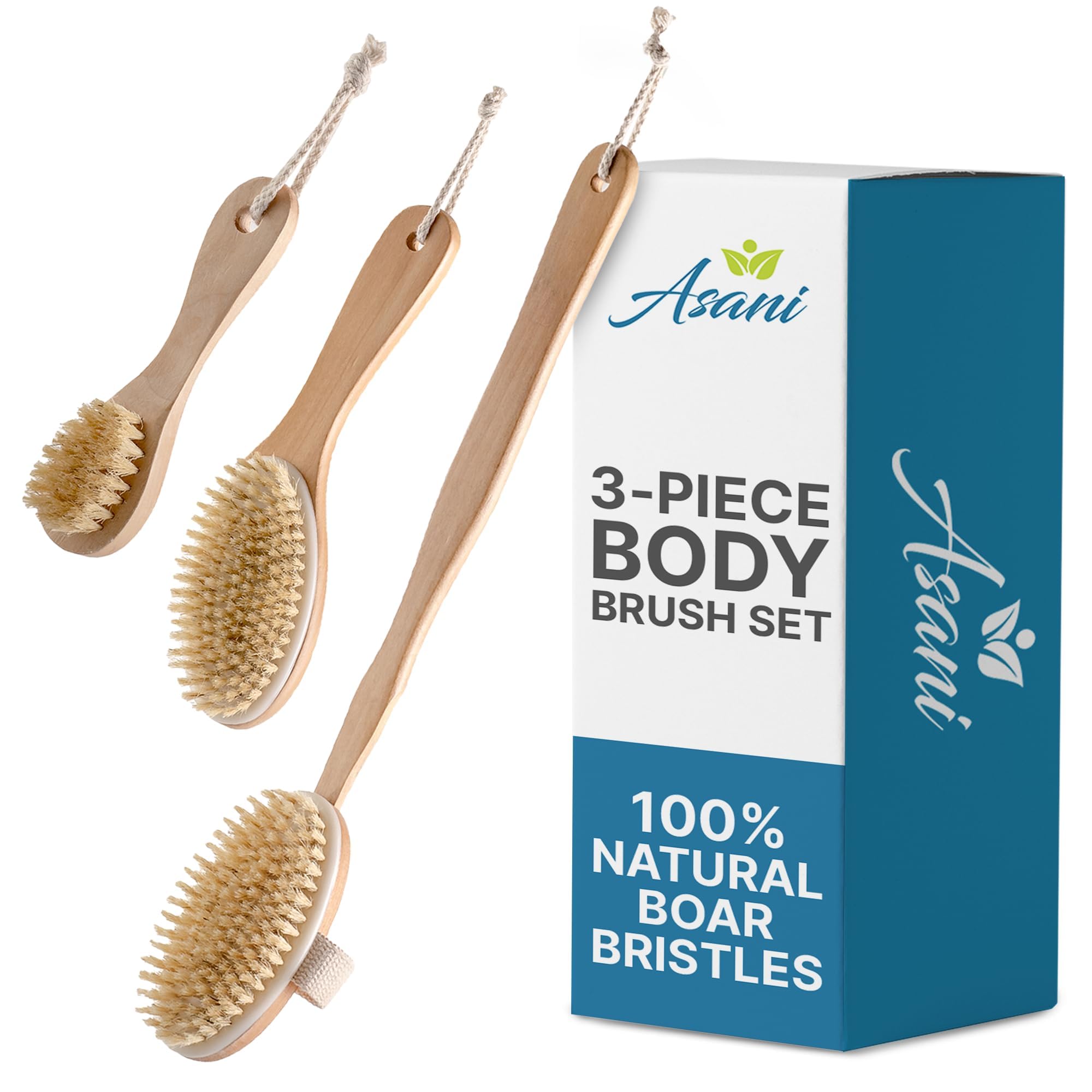 Asani dry brushing back brush with detachable handle for easy full-body exfoliation and lymphatic use