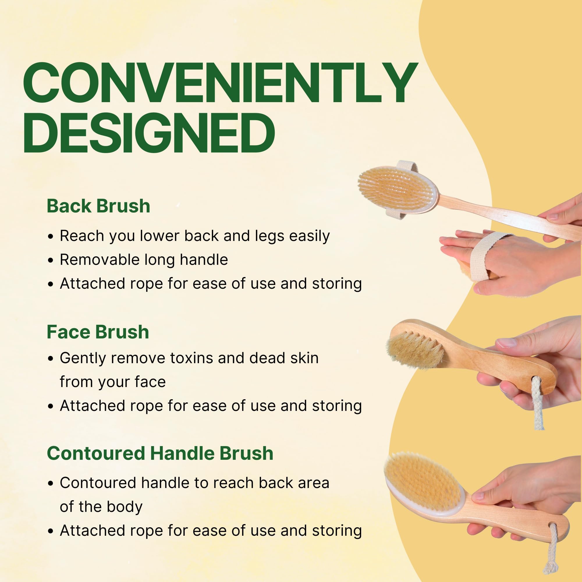 Asani shower routine image highlights invigorating showers with dry brushing benefits