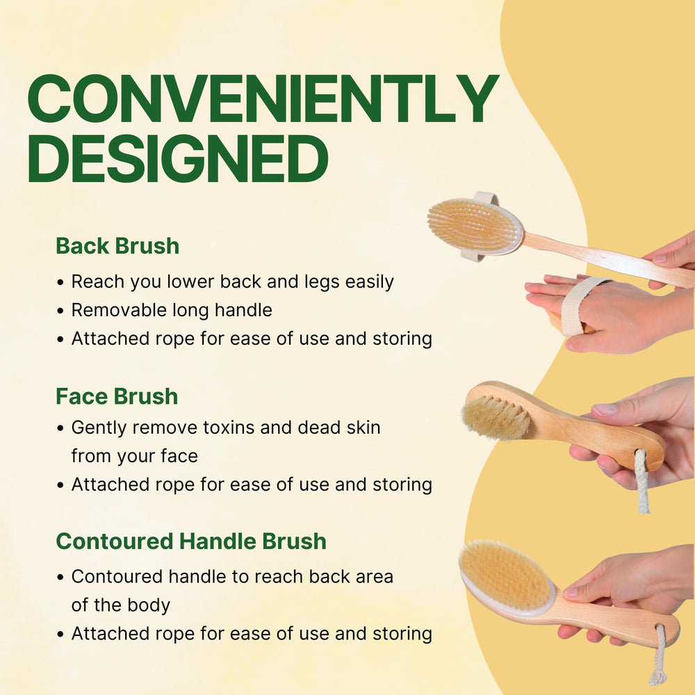 Asani shower routine image highlights invigorating showers with dry brushing benefits
