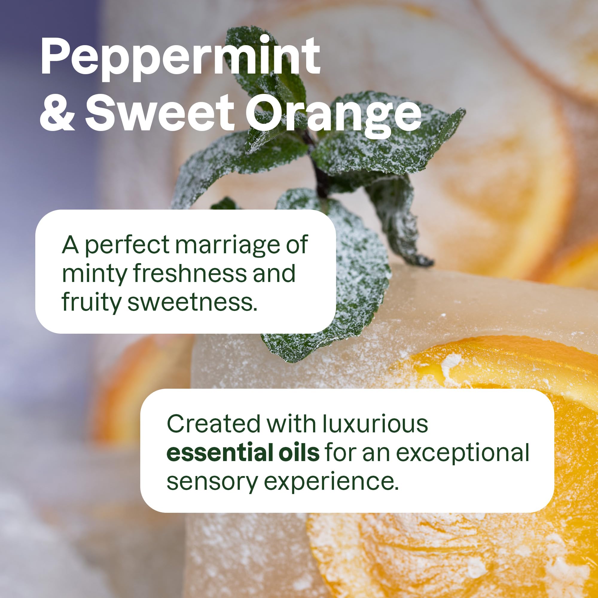 ATTITUDE Hydrating Shampoo fragrance-peppermint-orange conveys refreshing aromatics for daily ritual