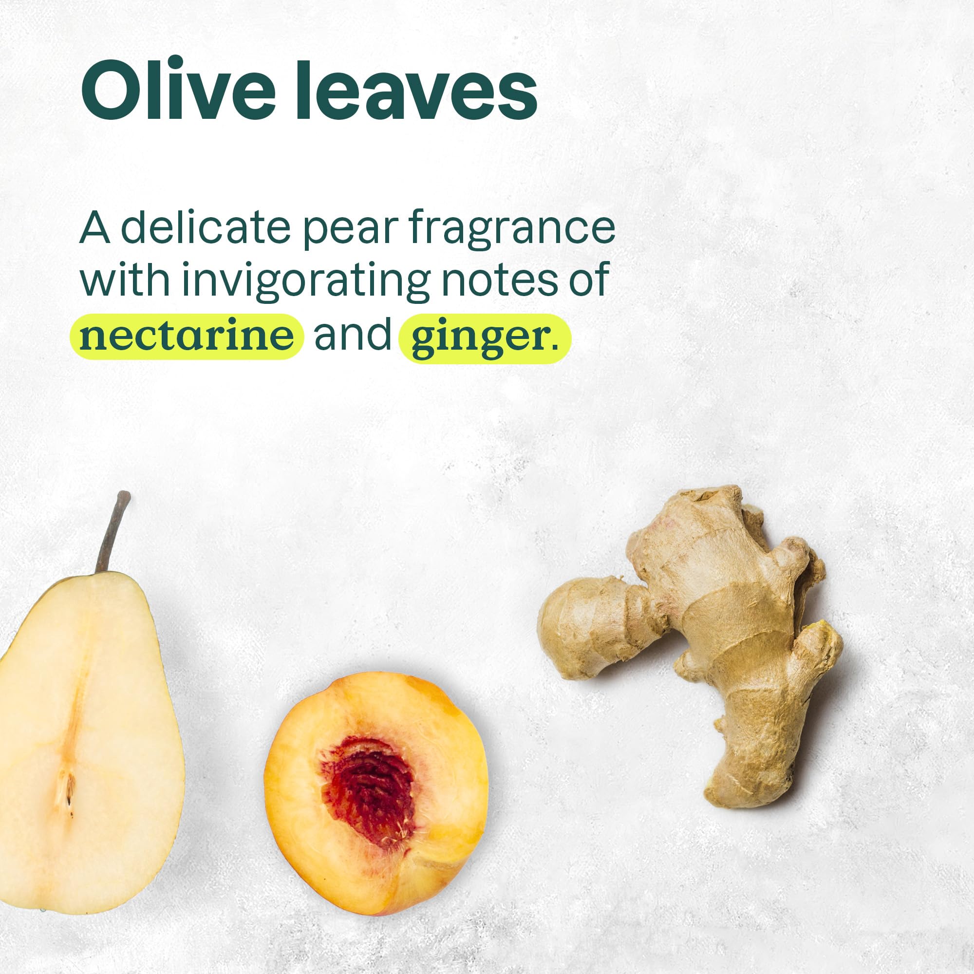 ATTITUDE Nourishing Hair Shampoo ingredient close-up featuring grapeseed oil and olive leaves