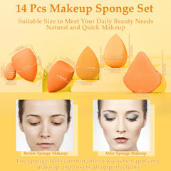 Auroray beauty sponges large shapes for full coverage blending across cheeks and forehead.