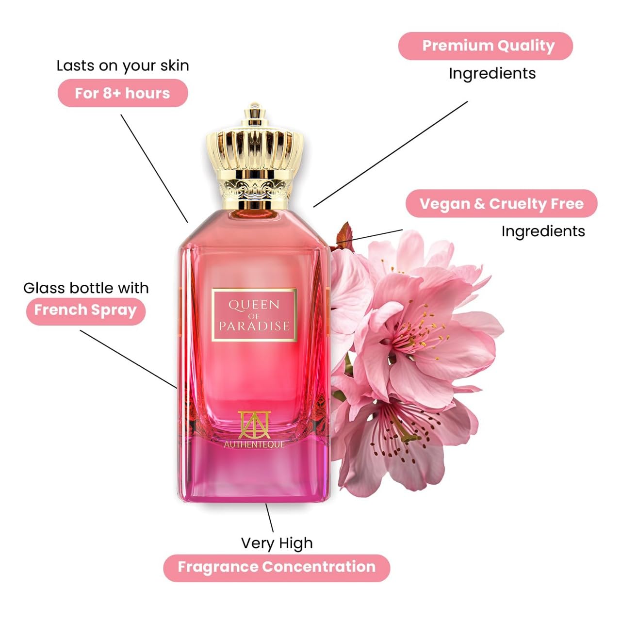 Authenteque Queen of Paradise bottle closeup label highlights fragrance strength