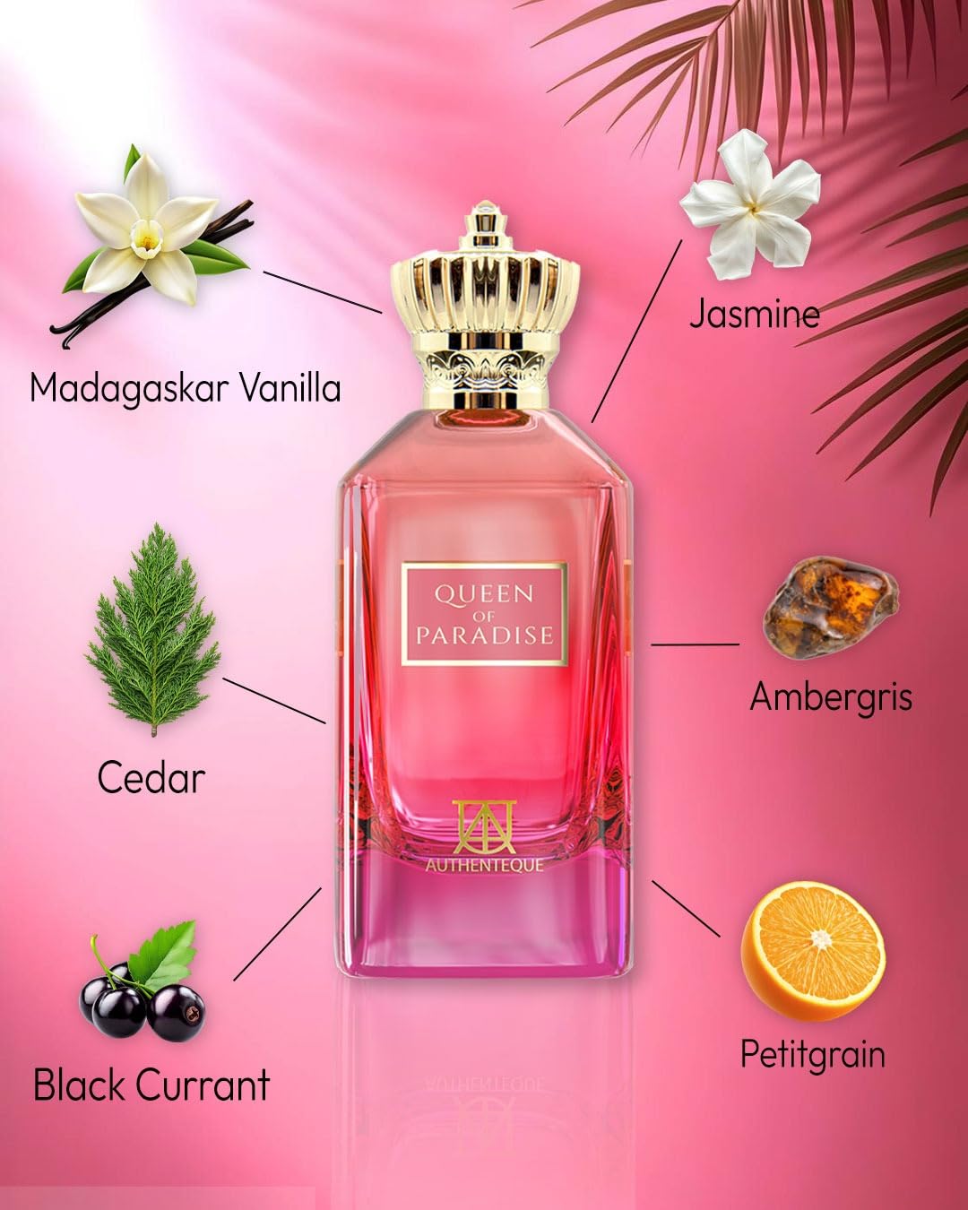 Authenteque Queen of Paradise outer box packaging conveys gifting-ready luxury