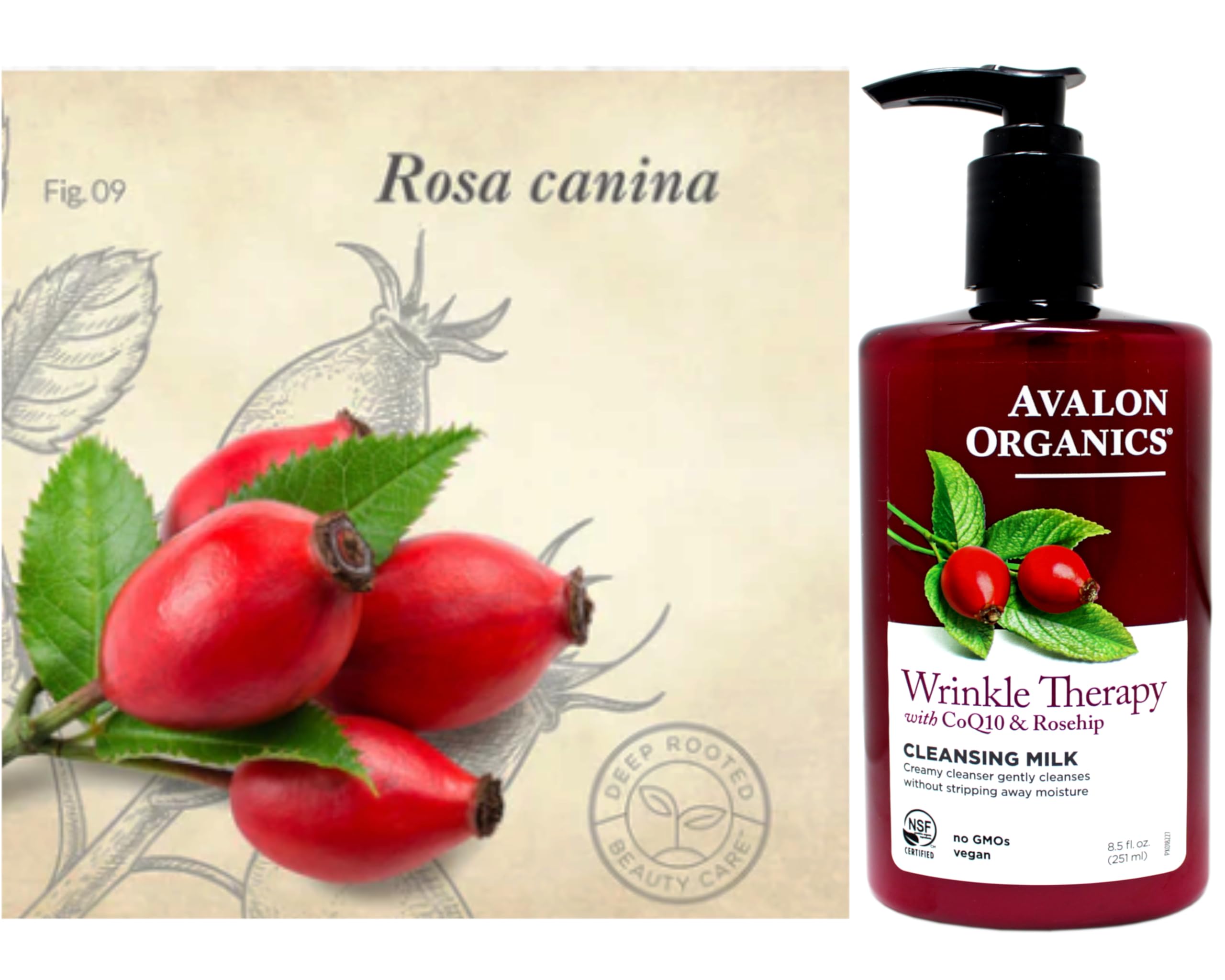 Avalon Organics CoQ10 cleansing milk hands-application showing gentle facial cleansing routine.
