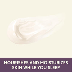 Aveeno Absolutely Ageless Restorative Night Cream applied to neck for elasticity