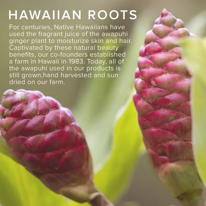 Awapuhi Wild Ginger tropical fragrance enhances daily styling routine.