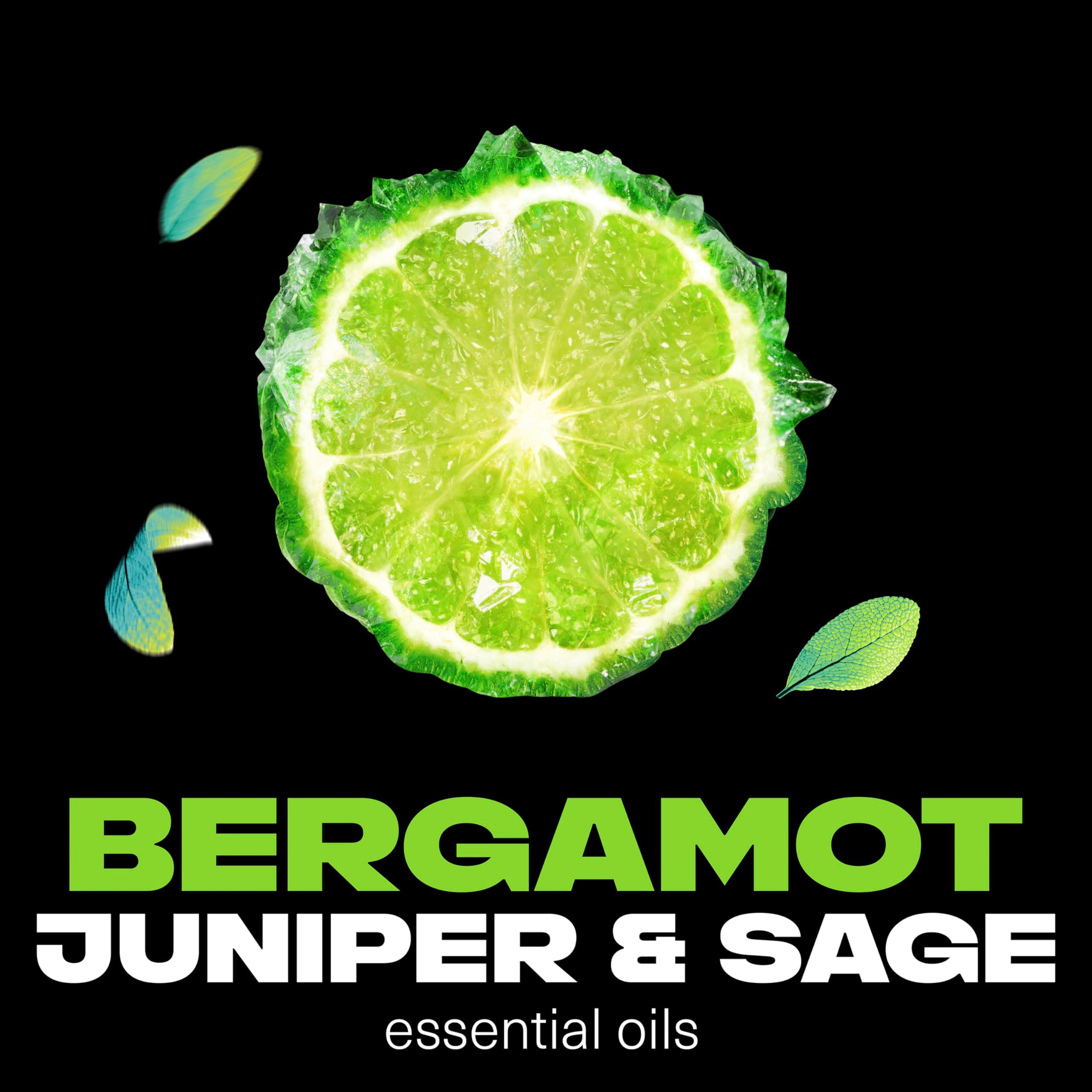 AXE Aqua Bergamot essential oils closeup featuring bergamot, sage, juniper.