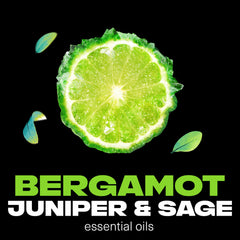 AXE Aqua Bergamot essential oils closeup featuring bergamot, sage, juniper.