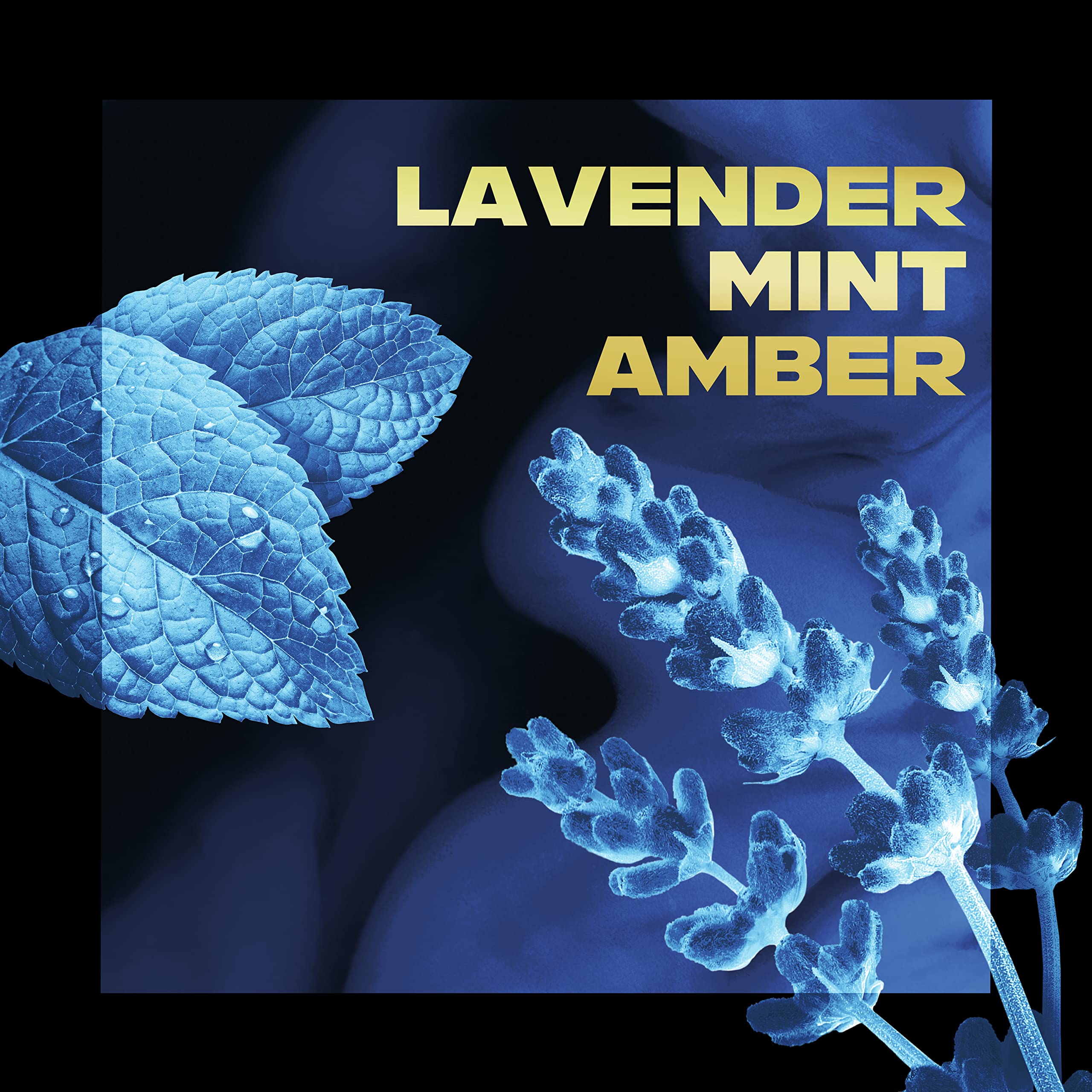 AXE Blue Lavender deodorant stick ingredients visual features essential oils