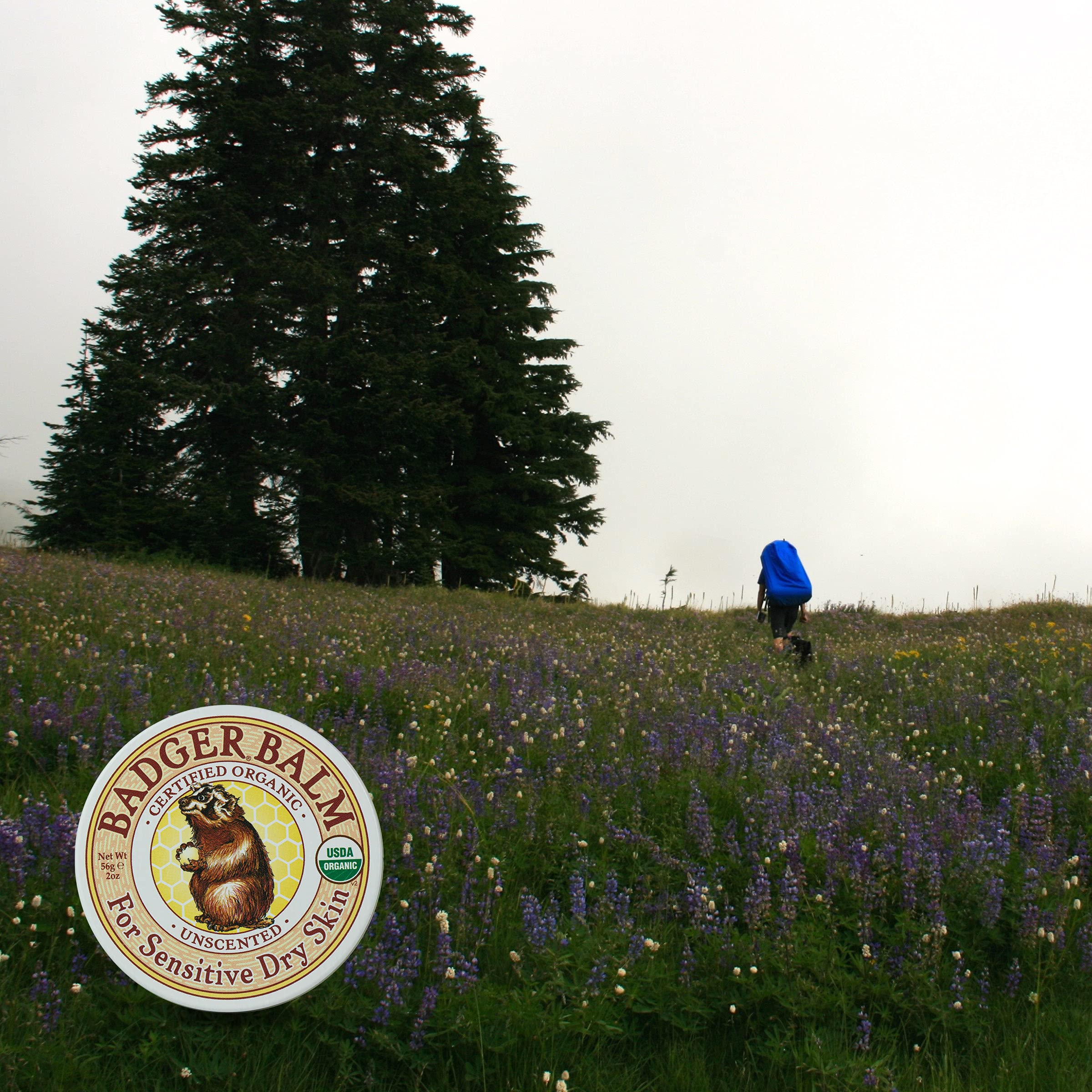 Badger Balm two-pack shown as a simple, gift-ready skincare option.