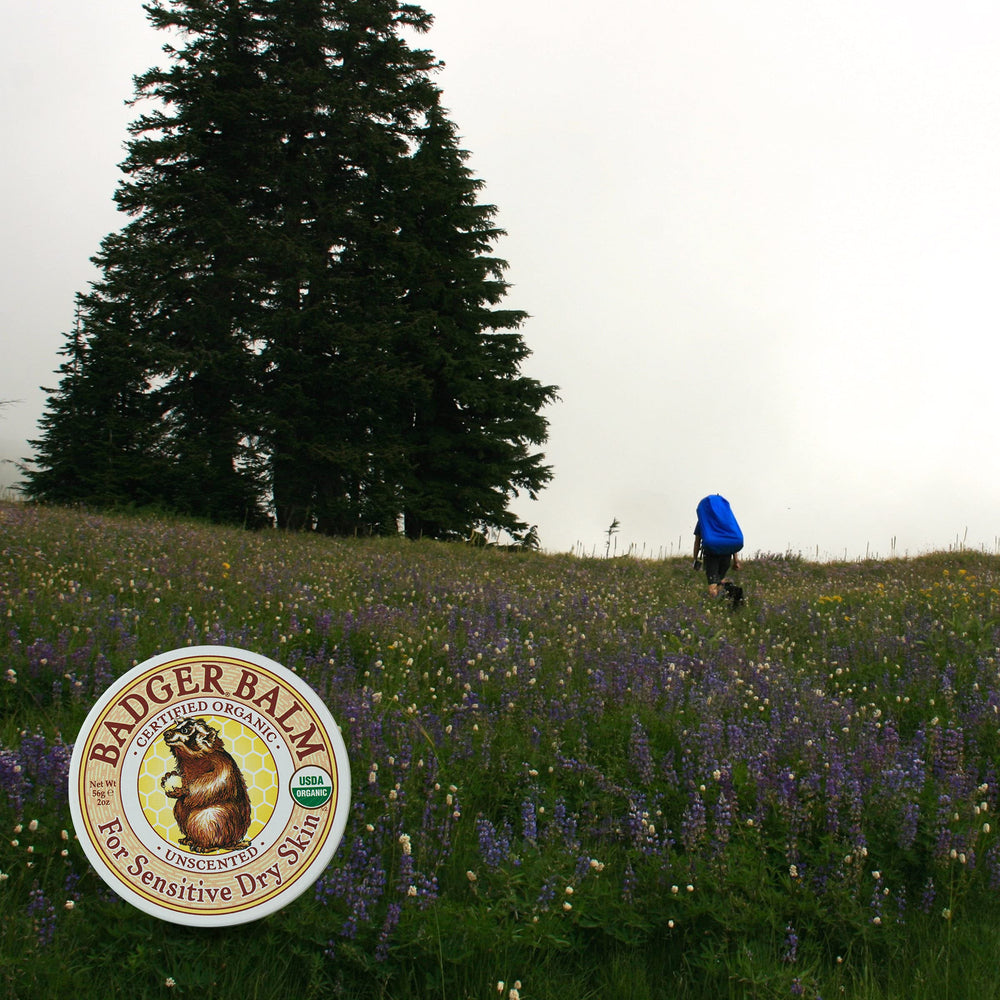 Badger Balm two-pack shown as a simple, gift-ready skincare option.