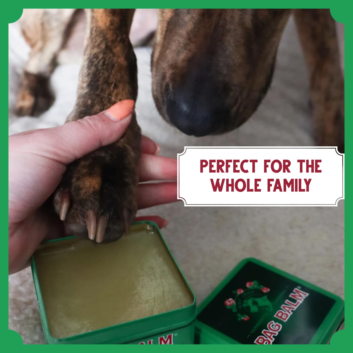 Bag Balm closeup highlights lanolin-rich formula for softening skin