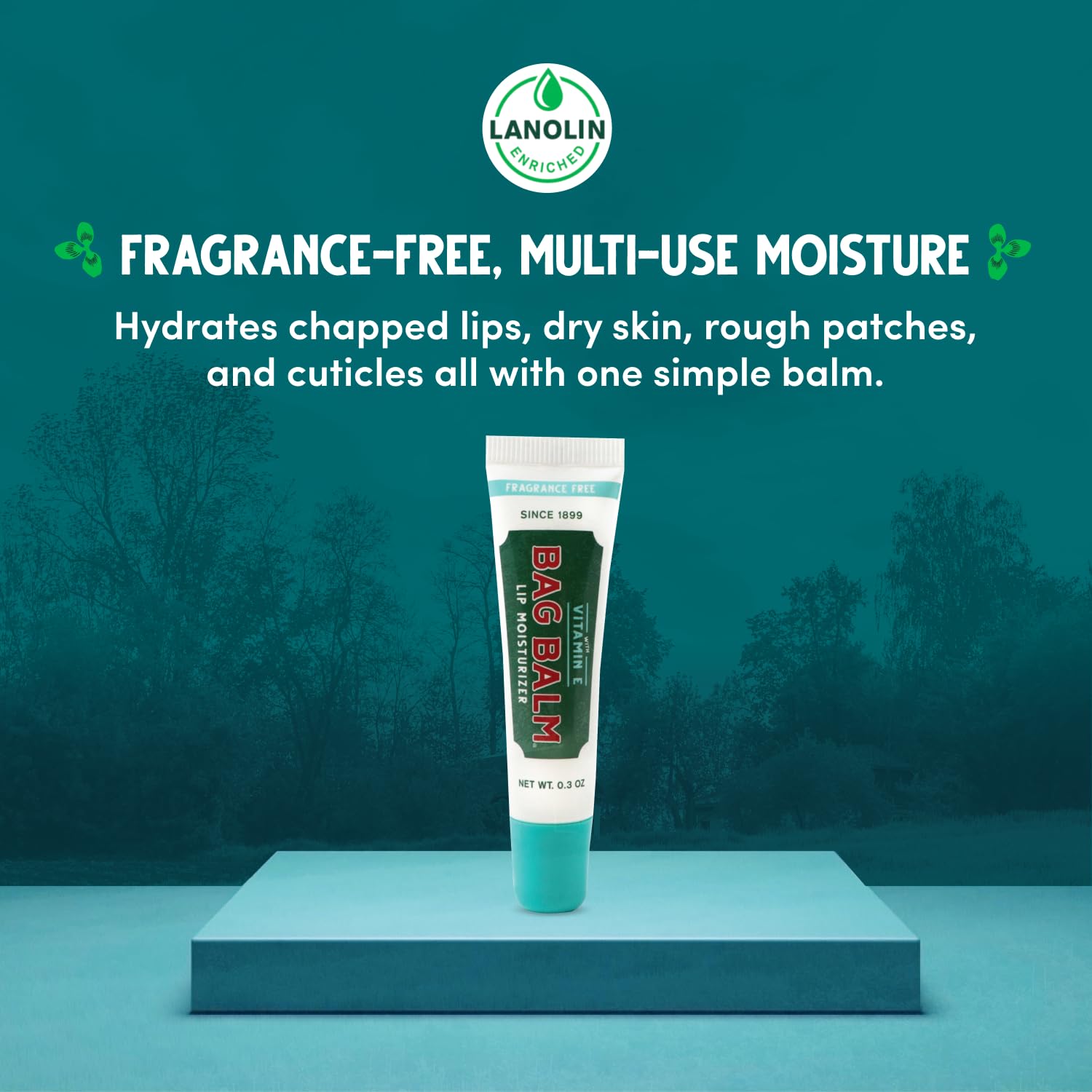 Bag Balm fragrance-free lip balm Vitamin E label highlights soothing lip comfort