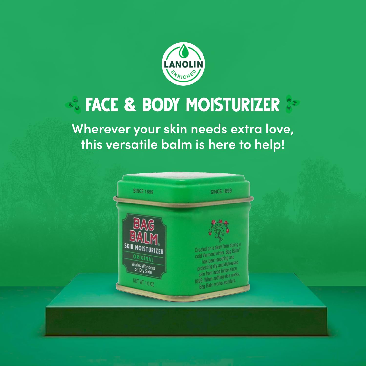 Bag Balm Original Ointment on counter suggesting home use for dry skin care