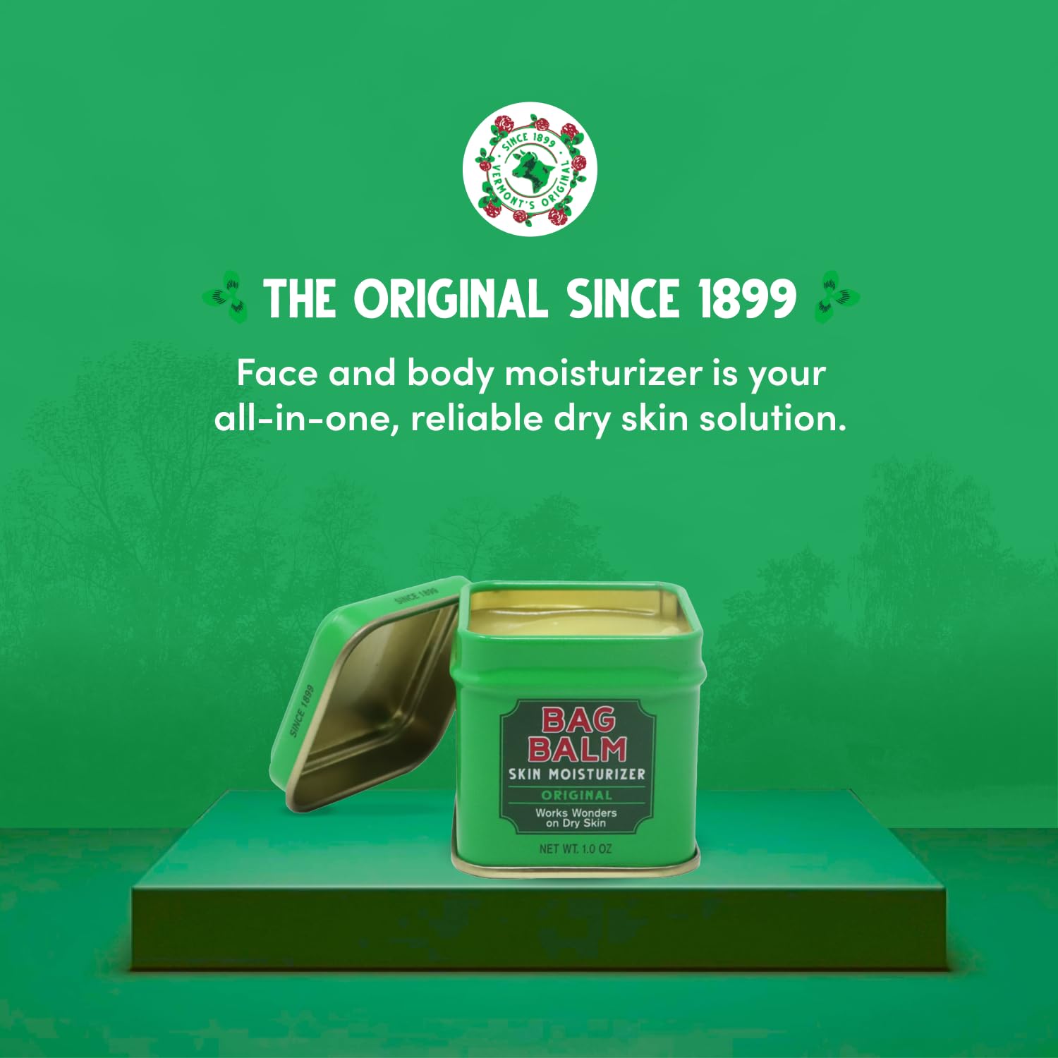 Bag Balm Original Ointment tin back view highlighting fragrance-free formula