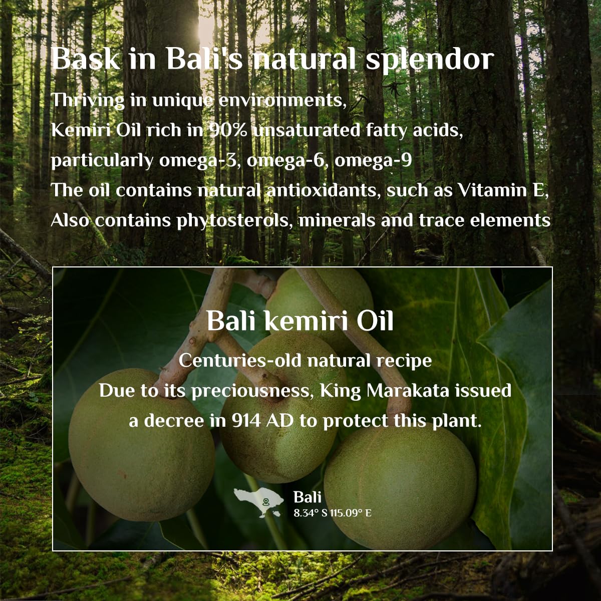 Bali Aga Kemiri Oil hair close-up reveals healthy shine and strength.