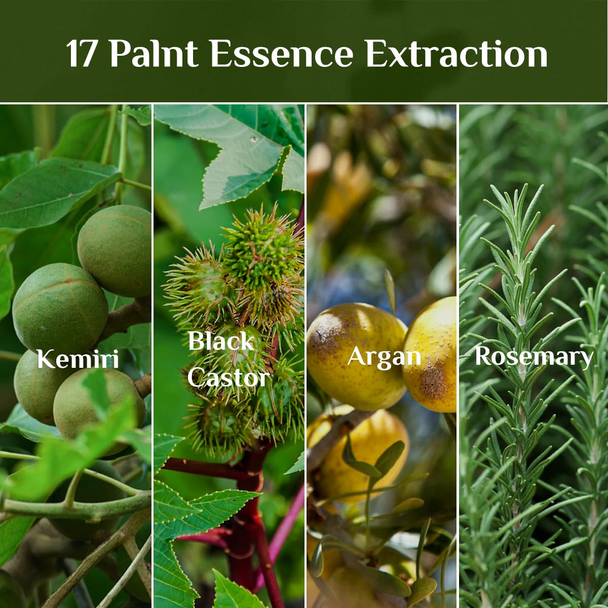 Bali Aga Kemiri Oil ingredients panel highlights vitamins A, C, E.