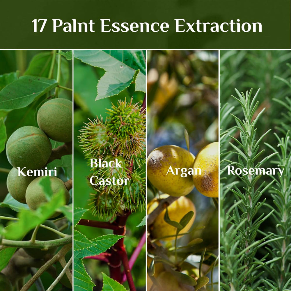Bali Aga Kemiri Oil ingredients panel highlights vitamins A, C, E.