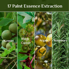 Bali Aga Kemiri Oil ingredients panel highlights vitamins A, C, E.