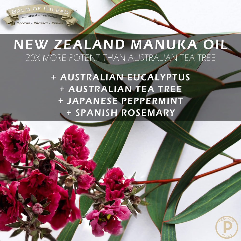BALM OF GILEAD Manuka oil concentrate dropper for resilient skin.