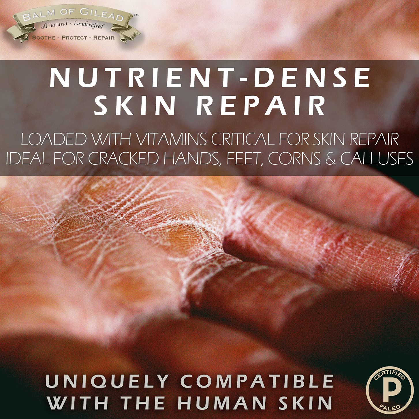 BALM OF GILEAD Vitamin-rich skin food ingredients visual for skin repair.