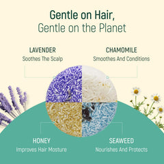 BAMBOEARTH chamomile bar image promotes calming hair care with natural ingredients.
