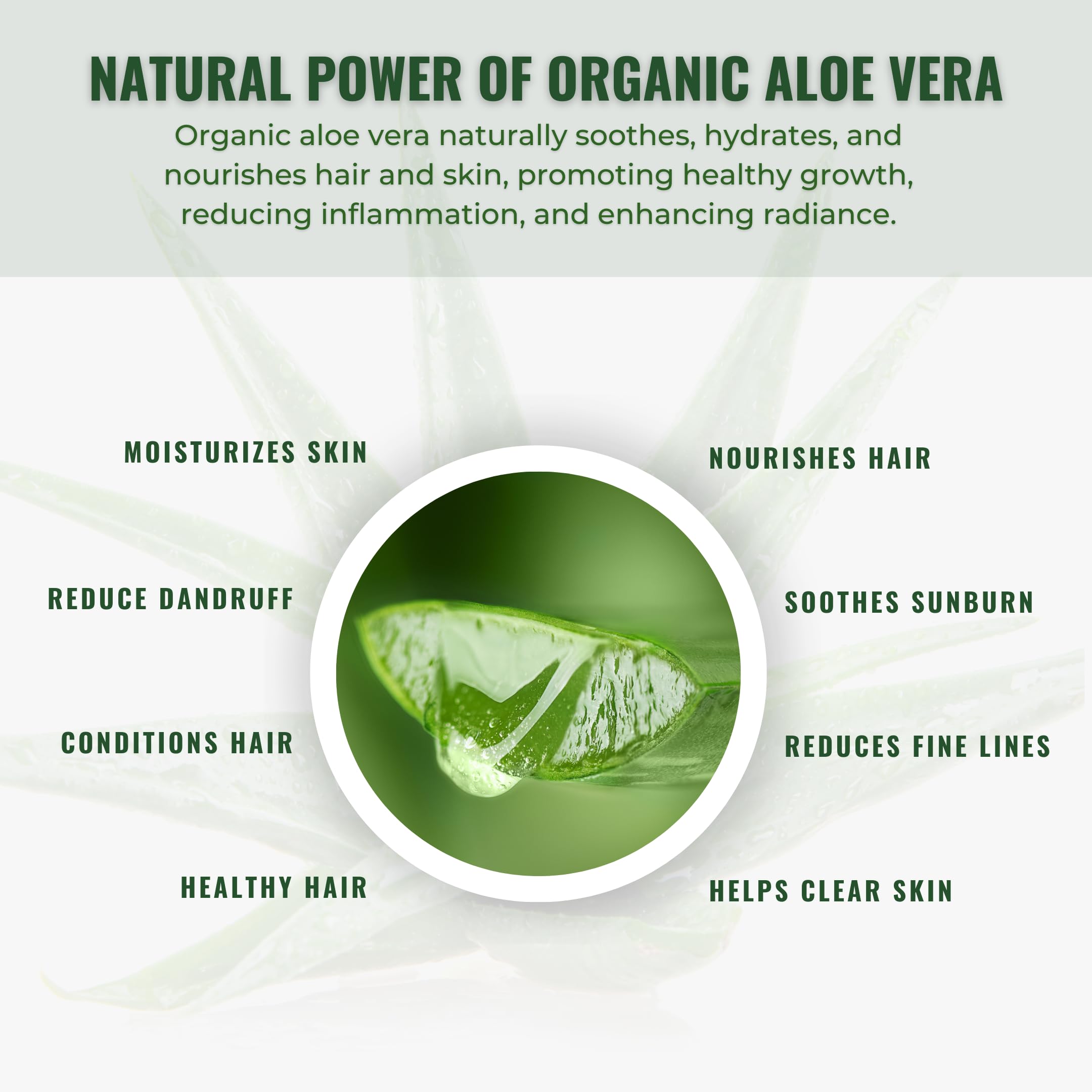 BANSCALX Aloe Vera Gel ingredients panel highlighting vitamin E and glycerin.