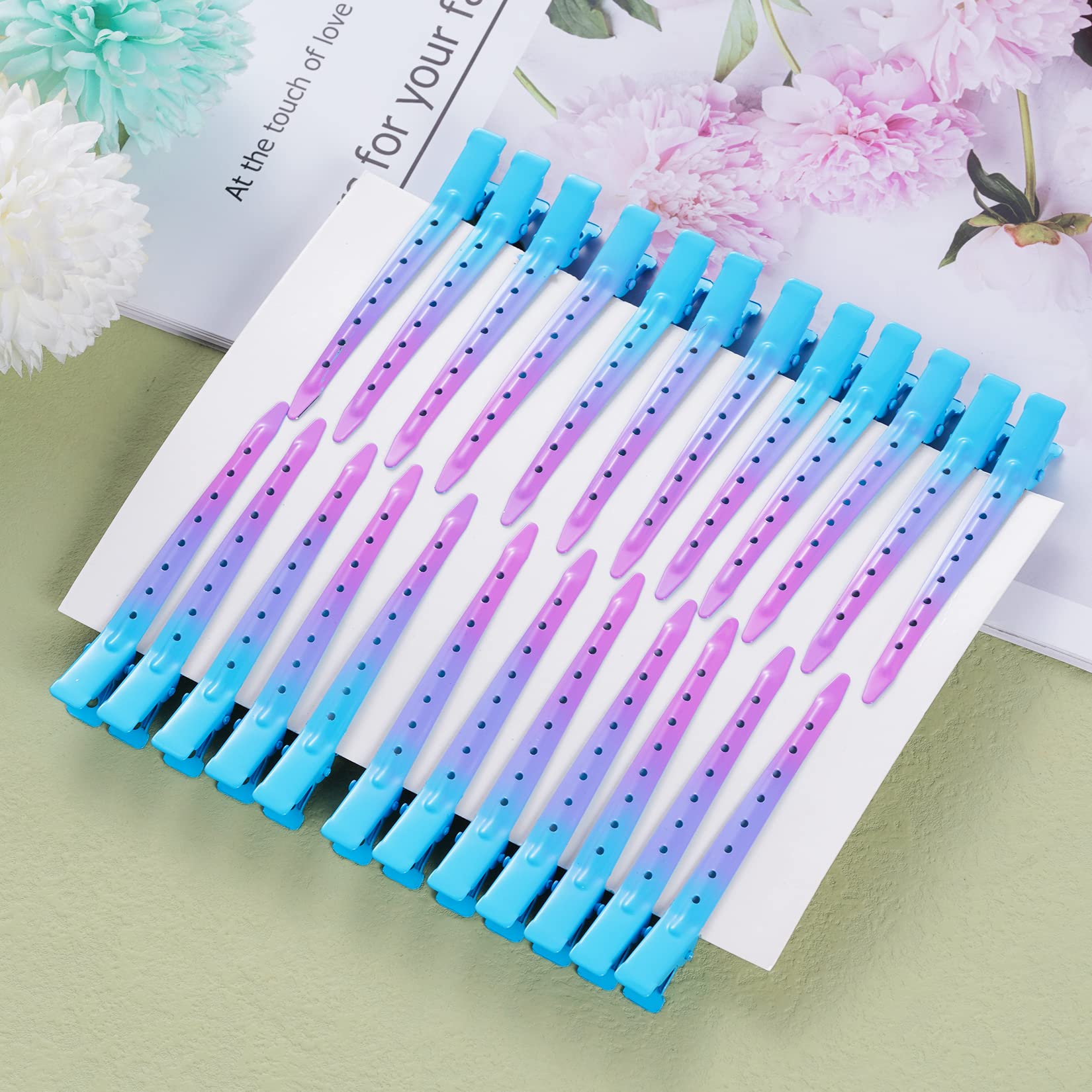 Bantoye 24-pack alligator clip set ideal for salon and home use.
