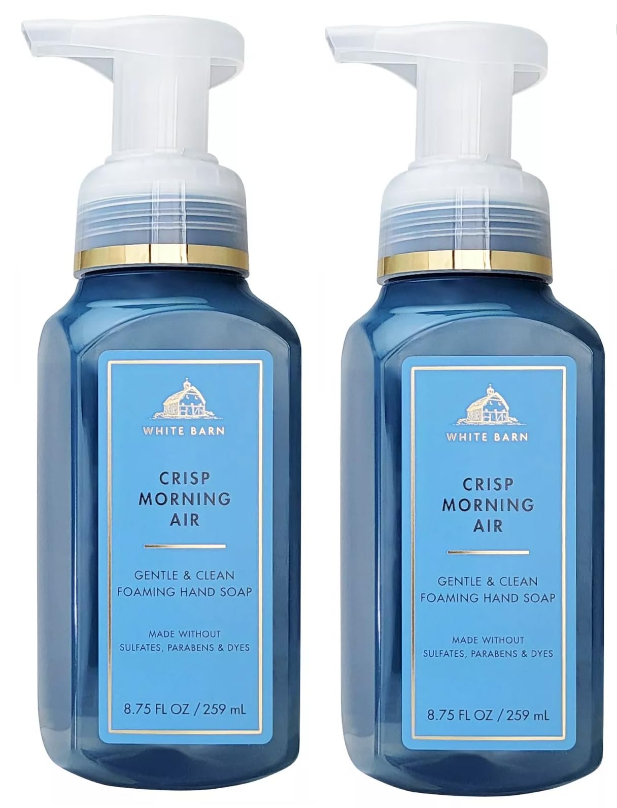 Bath & Body Works Crisp Morning Air foam bottle with pine and juniper scent for refreshing hand washing.