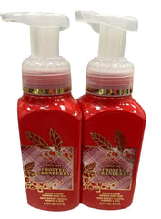 Bath and Body Works Frosted Cranberry foaming hand soap pack showing seasonal artwork variation