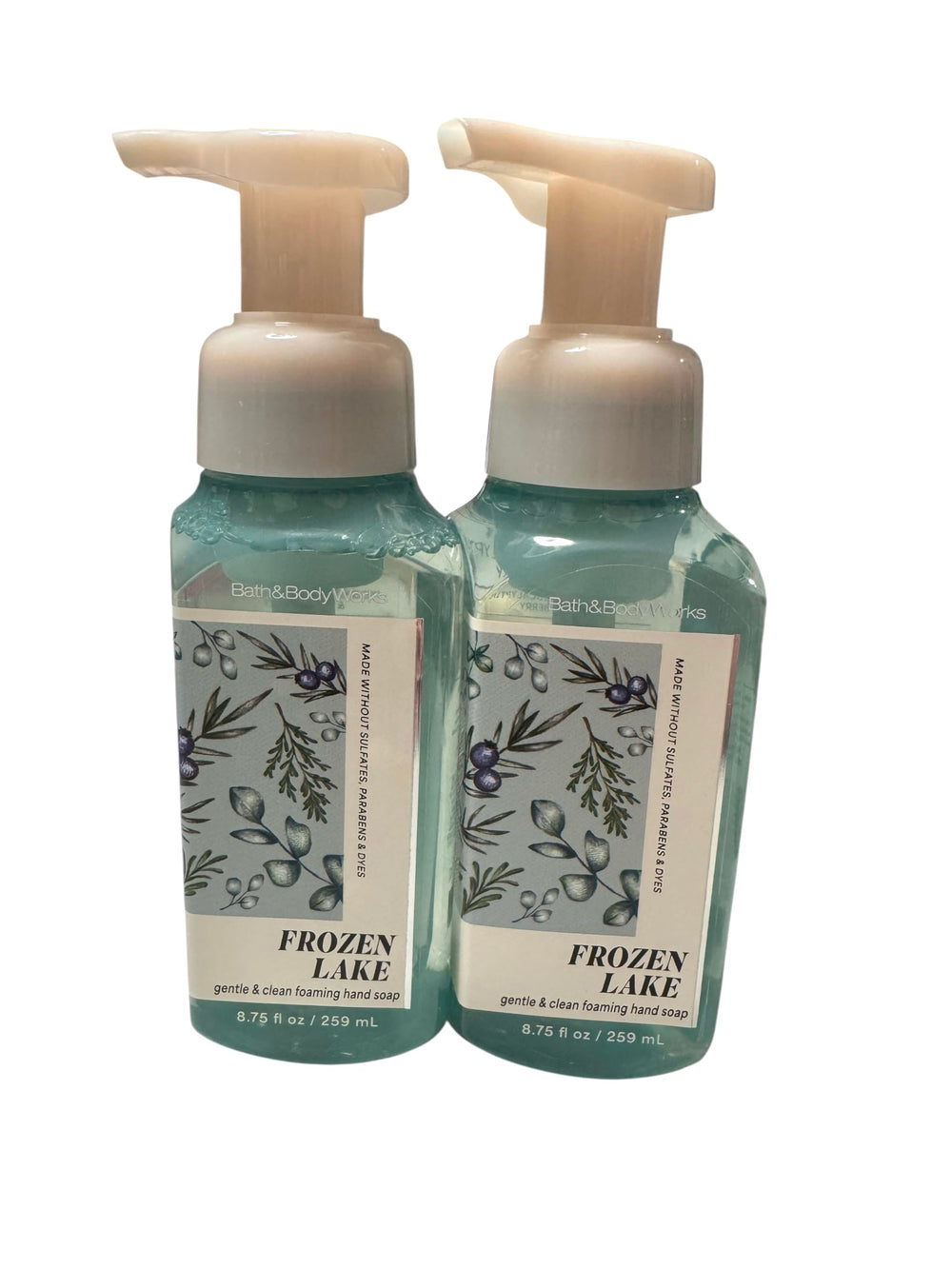 Bath and Body Works Gentle Foaming Hand Soap Frozen Lake showcasing creamy lather and clean soft hands.