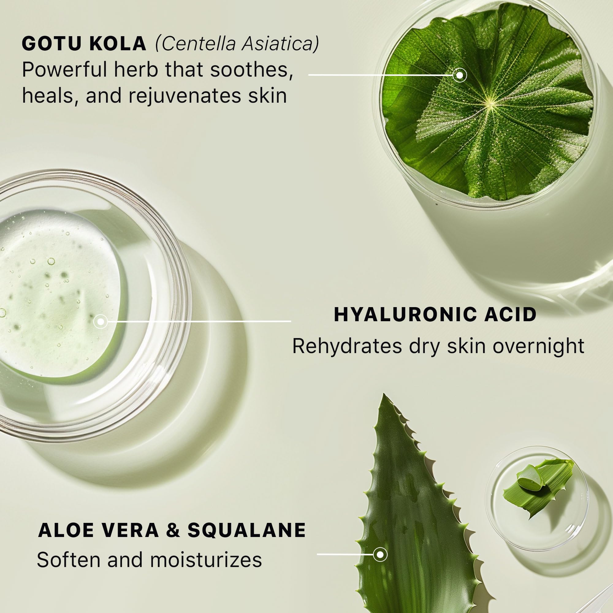 Beauty by Earth daily skincare routine shot inviting consistent use