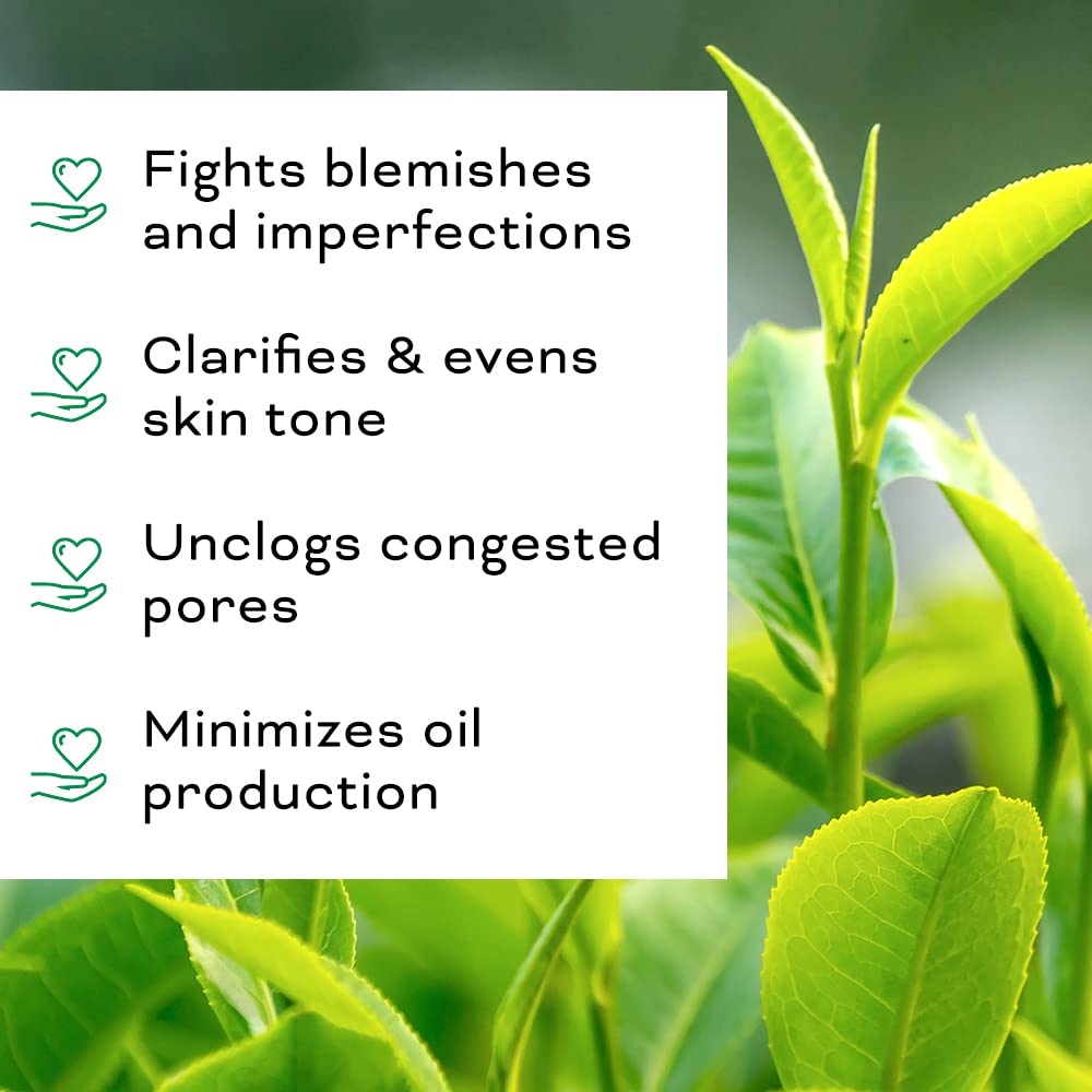 Beauty Foundry Tea Tree Oil ingredients glass bottle, enriched with Vitamin E for nourishment