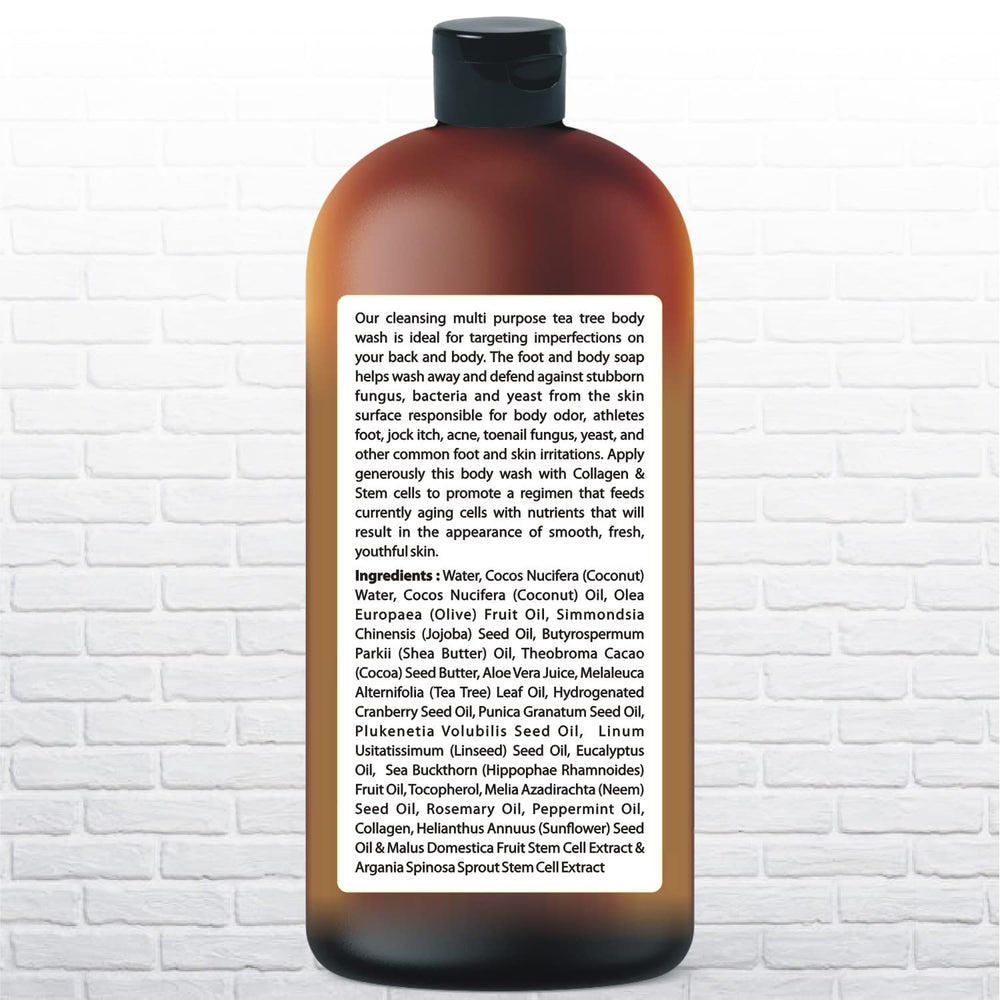 Being Naturals ingredients-tea-tree-oil-stem-cells highlights soothing, skin-supportive components.