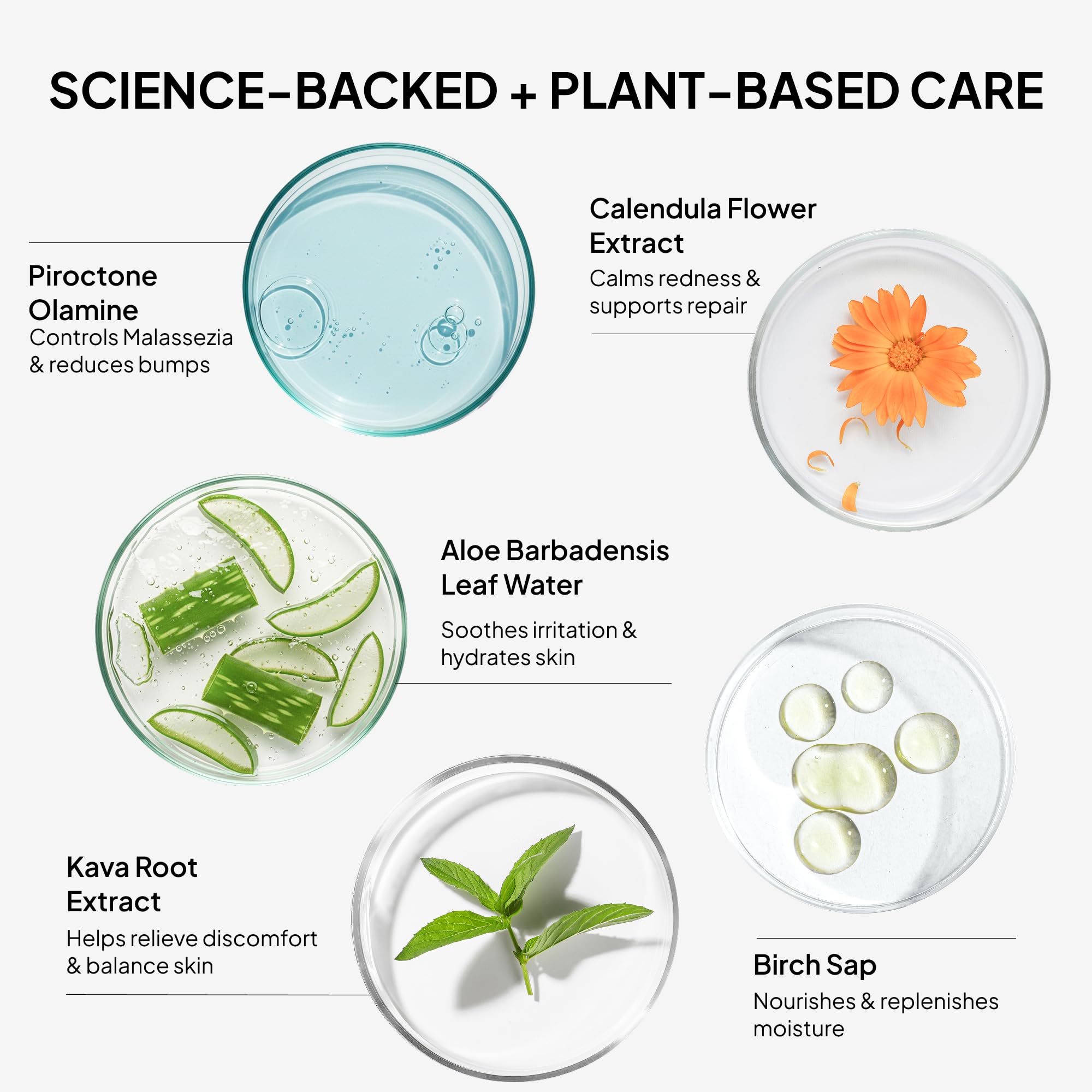 BellamiLuxx botanicals-aloe-calendula highlights soothing plant extracts for calm, hydrated skin.