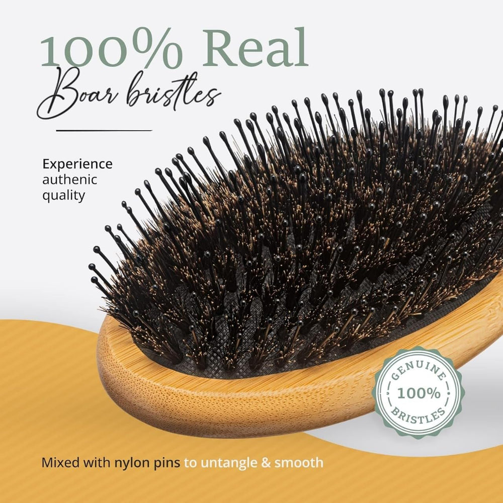 Belula Boar Bristle Brush on desk showing compact design for daily routine.
