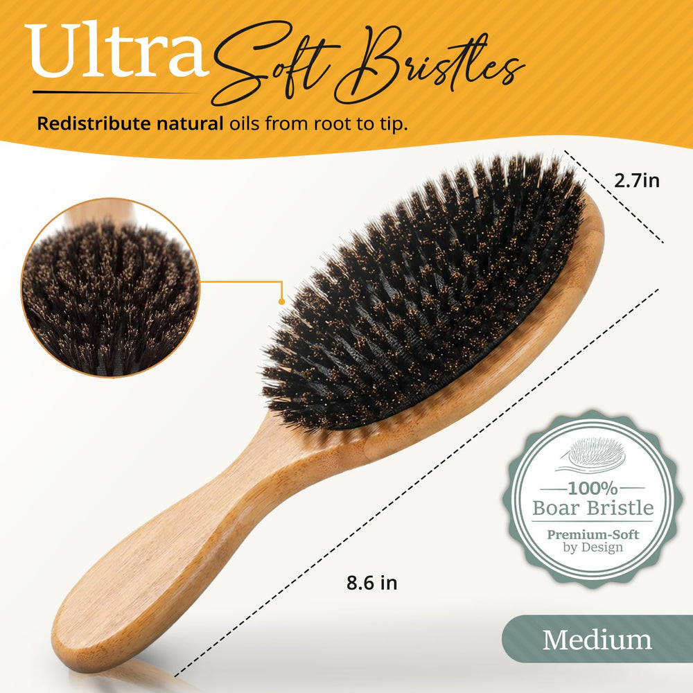 Belula 100% Boar Bristle Hair Brush Set (Medium) – Soft Bristles for F